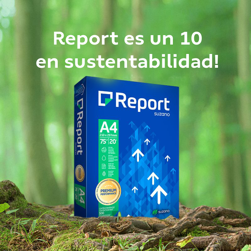 REPORT