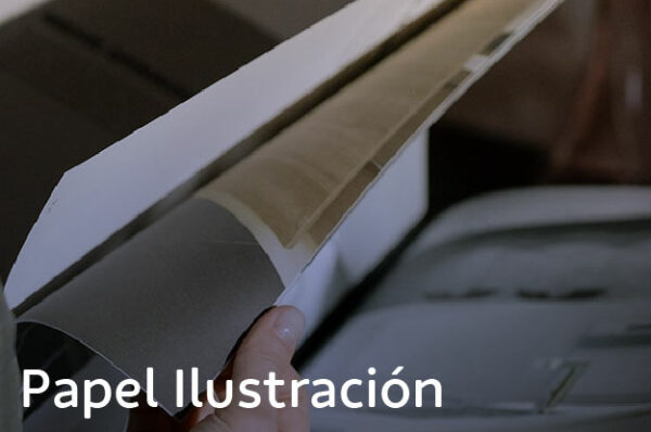 Papel Ilustración